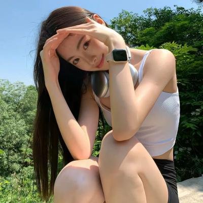 美国派2